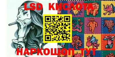 PSILOCYBIN Камышлов